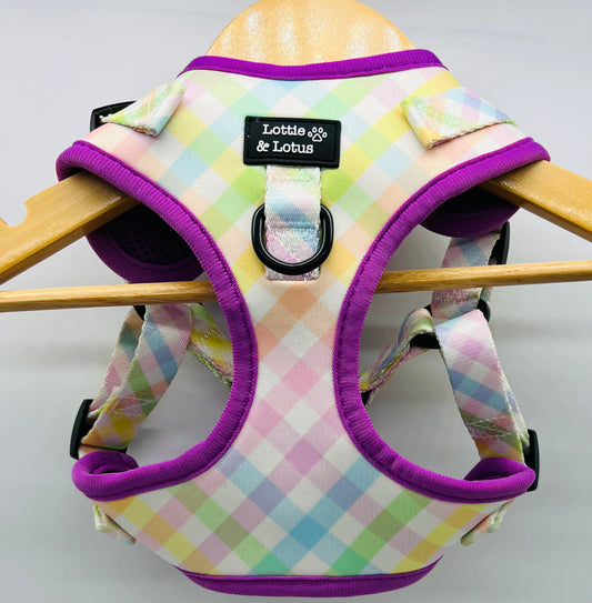 Rainbow Gingham Step in Harness