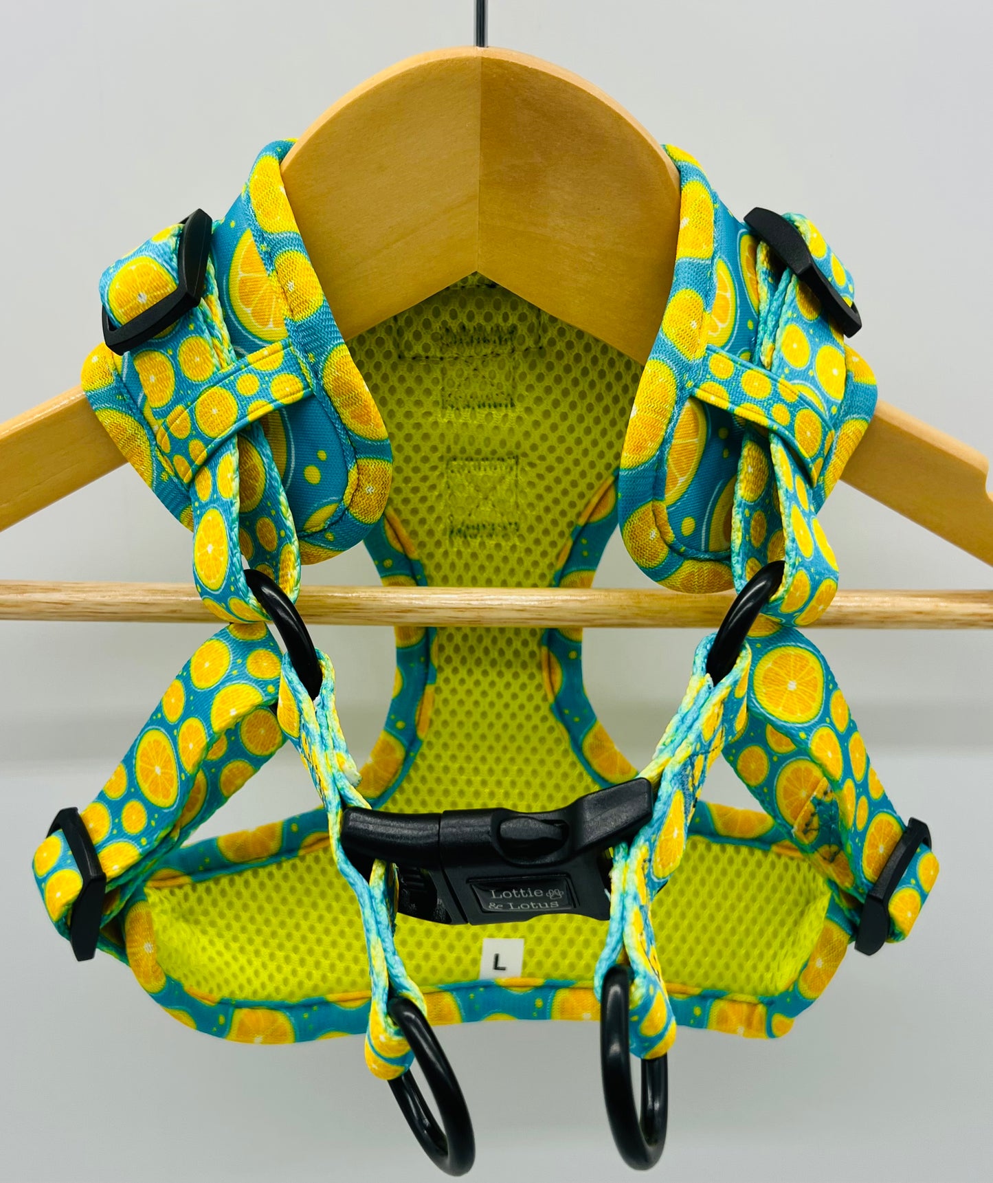 Blue Citrus Step in Harness