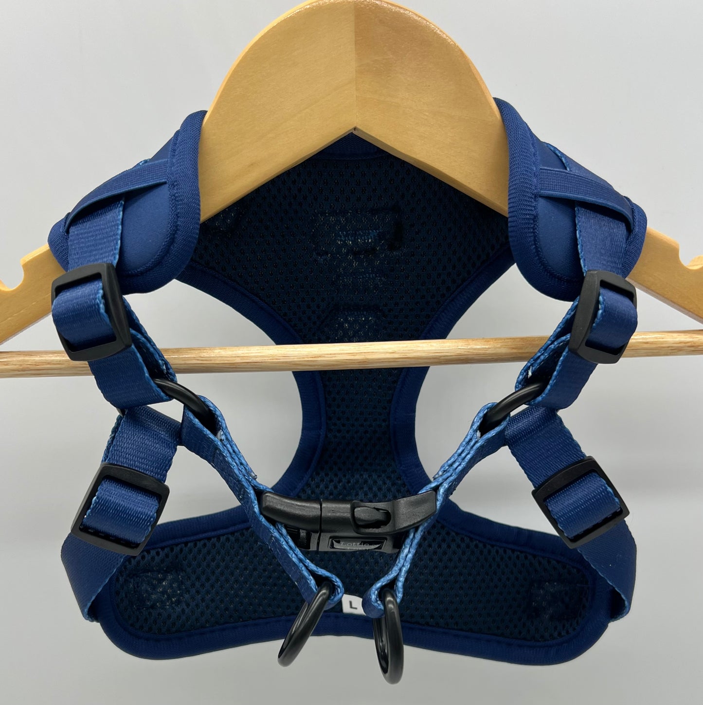 Blue Step in Harness