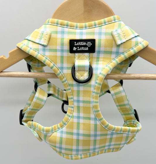 Yellow Gingham Step in Harness