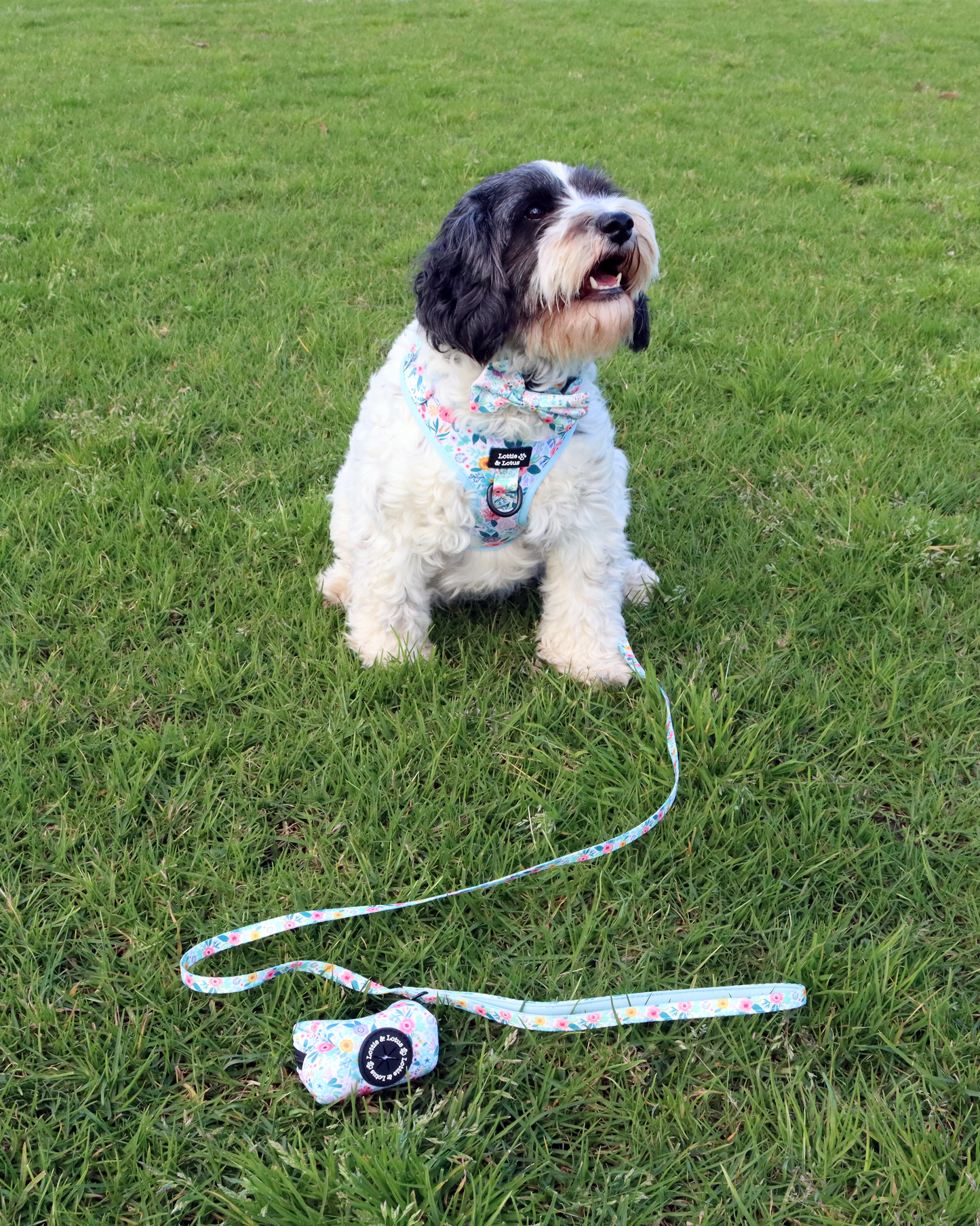 Blue Floral Step in Harness