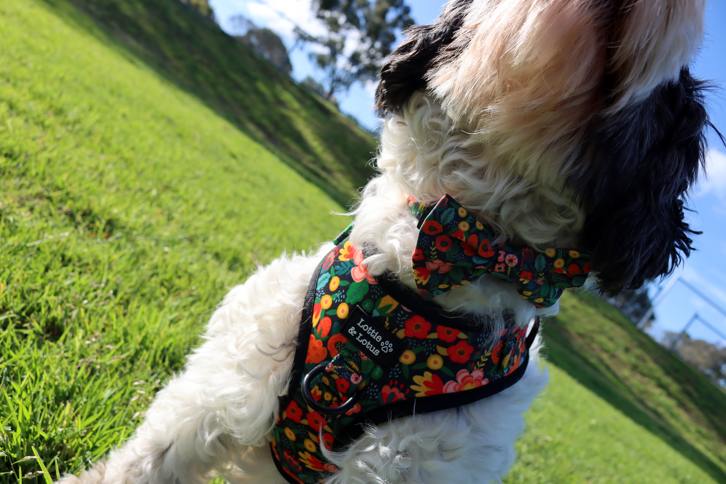 Black Floral Step in Harness