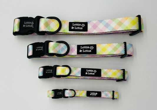 Rainbow Gingham Dog Collar