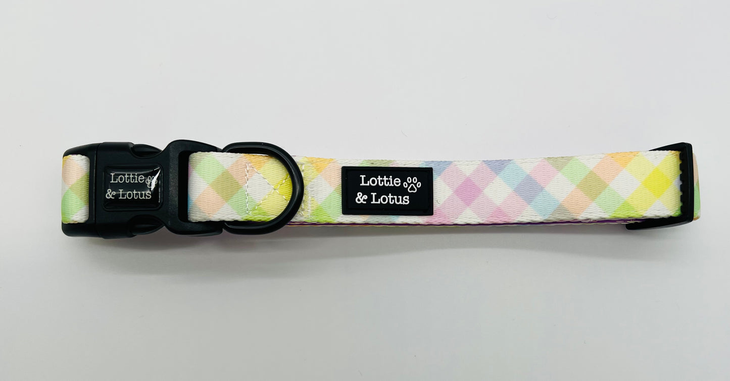 Rainbow Gingham Dog Collar