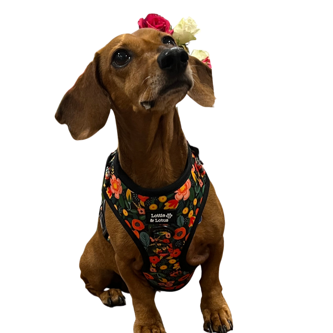 Black Floral Over Head Harness